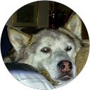 David Haywood profile picture